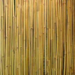 Bambuaita Home4You In Garden, 100x300cm