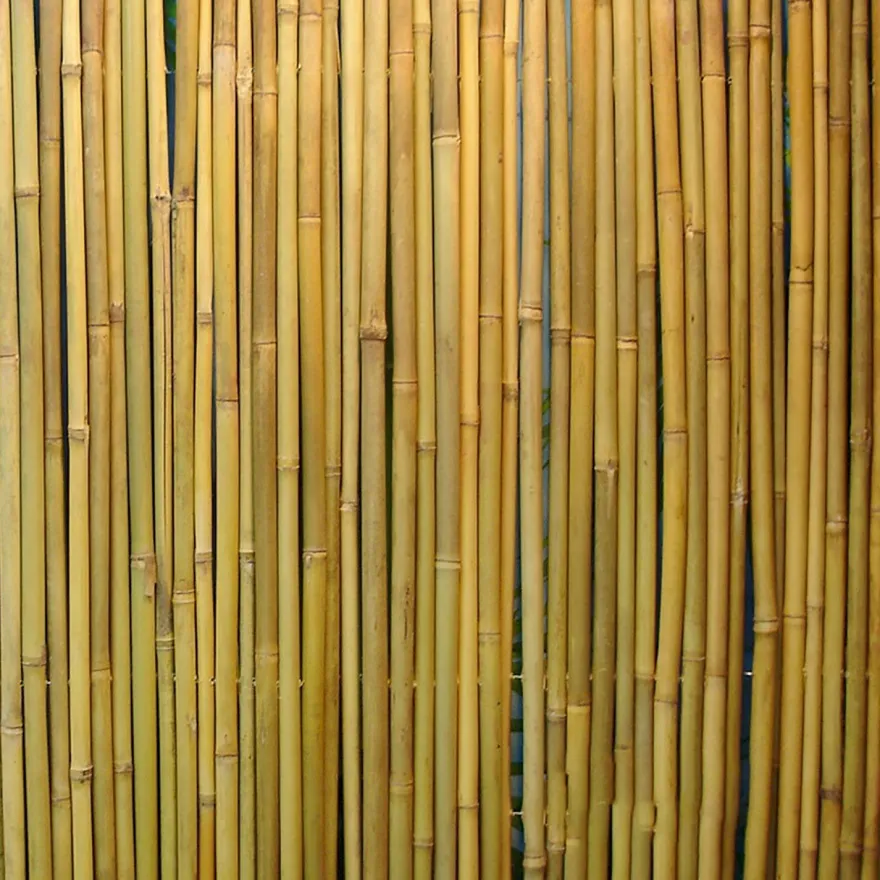 Bambuaita Home4You In Garden, 100x300cm