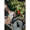 Chiliravinne Nelson Garden, 250ml