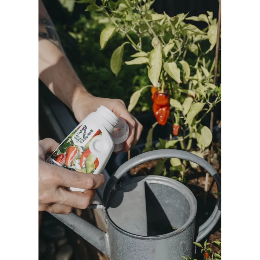 Chiliravinne Nelson Garden, 250ml
