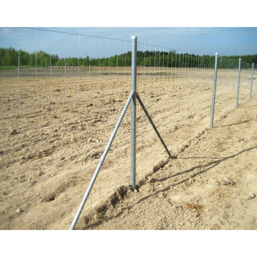 Eläinverkko Zn, 1,7x50m, muuttuva silmäkoko