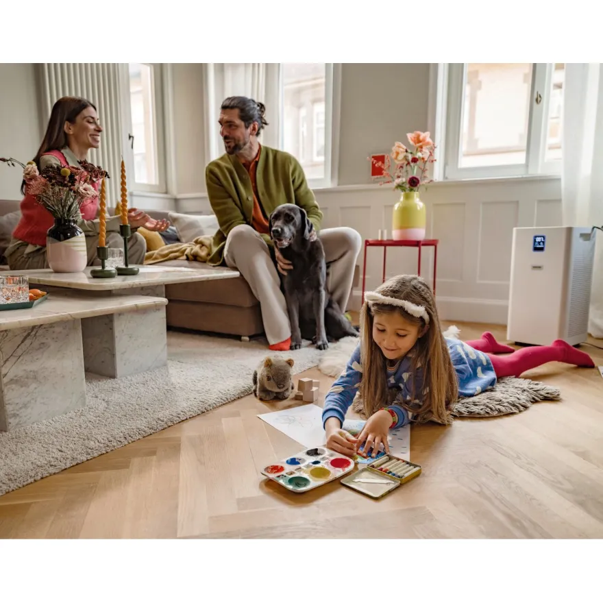 Ilmanpuhdistin Kärcher AF 50, 50-100 m² tilaan