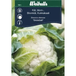 Kaalinsiemenet Weibulls kukkakaali