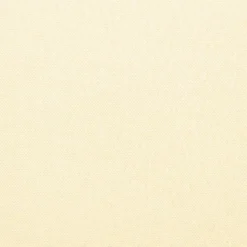 Kokoontaittuva terassin sivumarkiisi kerma 300x150 cm
