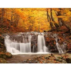 Kuvatapetti Artgeist Autumn landscape: waterfall in forest, eri kokoja