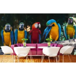 Kuvatapetti Dimex Colourful Macaw, 375x250cm, monivärinen
