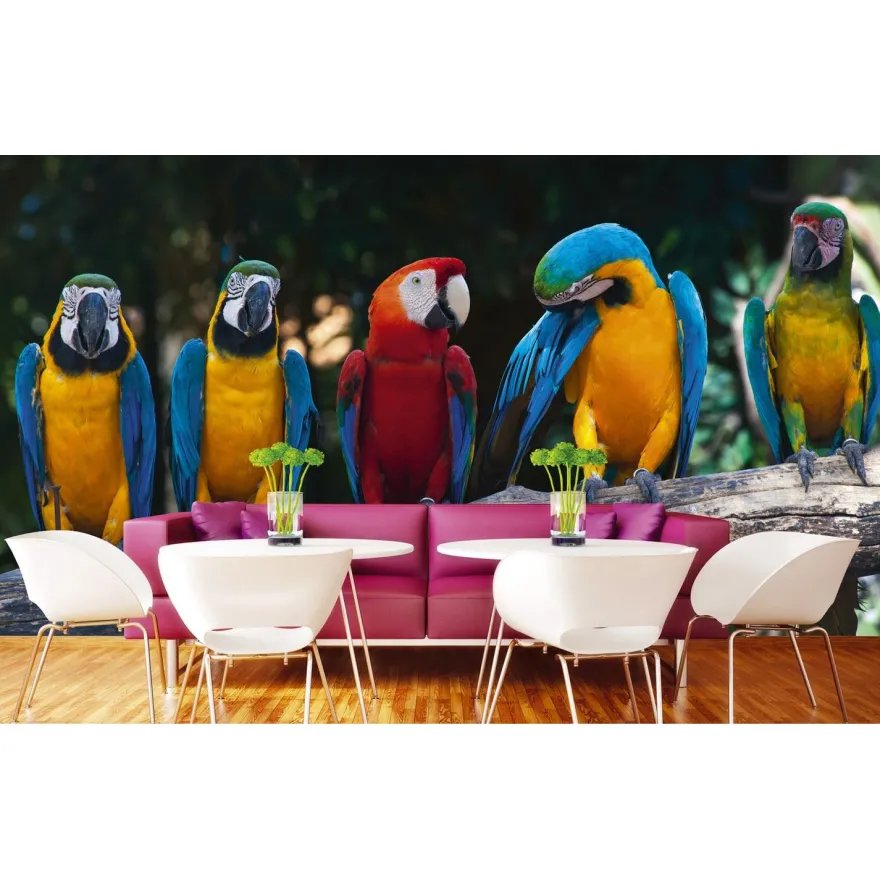 Kuvatapetti Dimex Colourful Macaw, 375x250cm, monivärinen