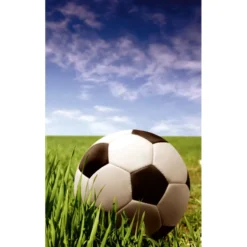 Kuvatapetti Dimex Soccer Ball, 150x250cm, monivärinen