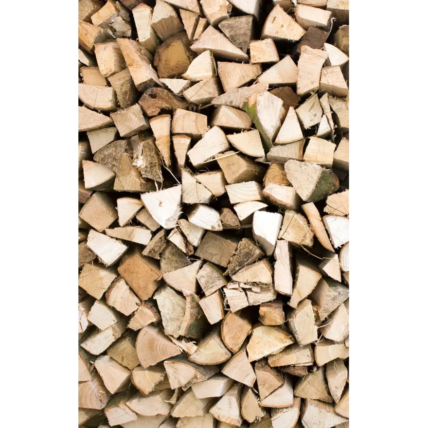 Kuvatapetti Dimex Timber Logs, 150x250cm, ruskea, puukuosi