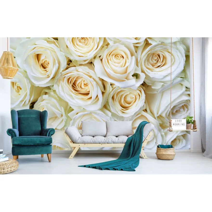 Kuvatapetti Dimex White Roses, 375x250cm, valkoinen