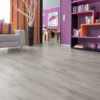 Laminaatti Flooria Superior Plus d3904 Oak Grey, 1-sauvainen, tammi