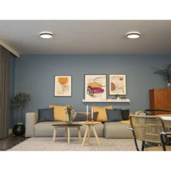 LED-paneeli Paulmann Cosara, IP44, Ø30cm, 15W, 3000K, eri värejä