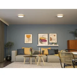 LED-paneeli Paulmann Cosara, IP44, Ø30cm, 15W, 3000K, eri värejä