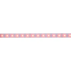 LED-valonauha Paulmann MaxLED 500, 1m, IP44, 12W, 440lm/m, RGBW+