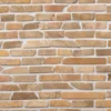 Marmorimosaiikki Qualitystone Stick Mustard, verkolla, 10 mm x vapaa mitta