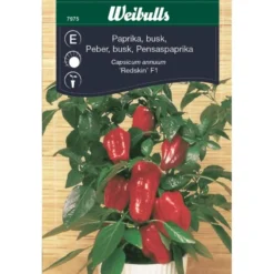Paprika Weibulls pensas siemenet