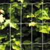 Puutarha-aita Hortus, 5x10cm, 0.6x25m, galvanoitu