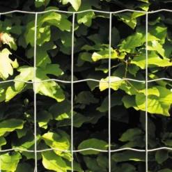 Puutarha-aita Hortus, 5x10cm, 0.6x25m, galvanoitu