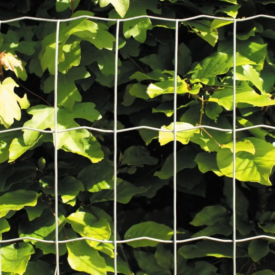 Puutarha-aita Hortus, 5x10cm, 0.6x25m, galvanoitu