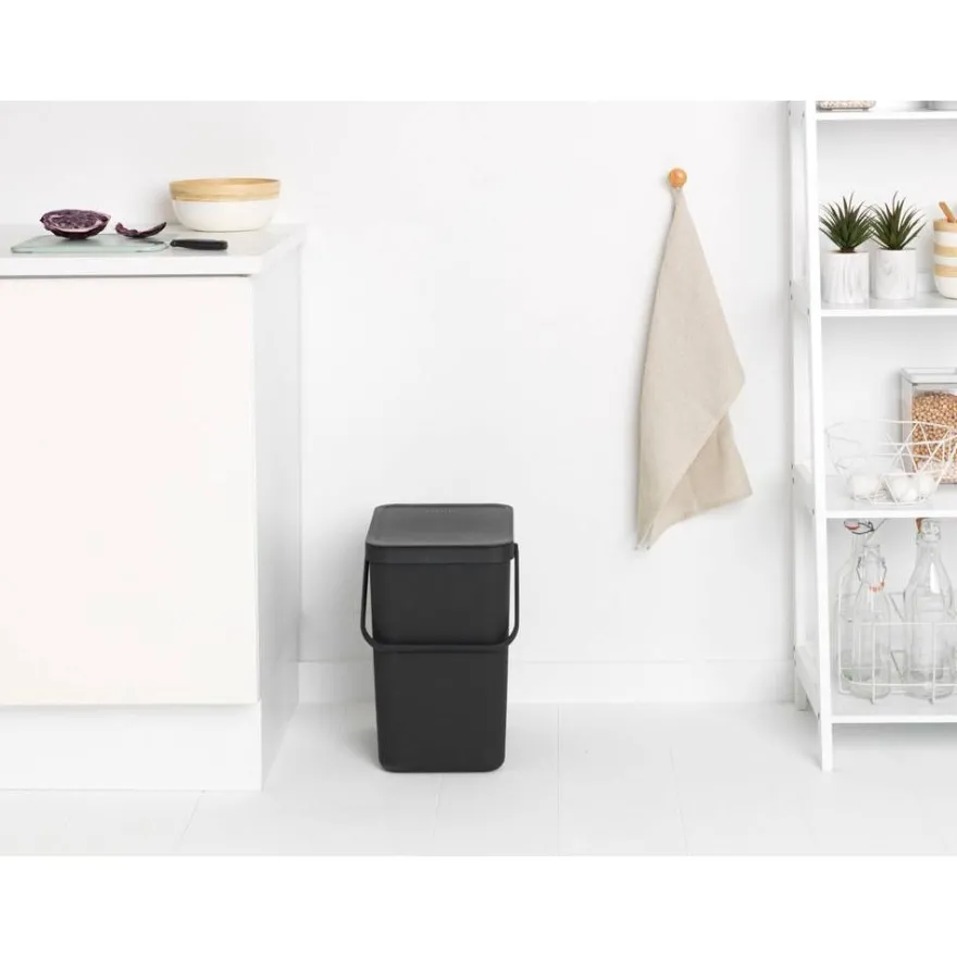Roska-astia Brabantia Sort & Go, 25L, Grey