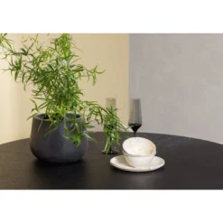 Ruokailuryhmä Venture Home, ⌀115cm Copenhagen-pöytä + 4 beigeä Berit-tuolia
