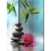 Sermi Artgeist Water Lily and Zen Stones, 135x172cm