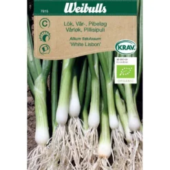 Sipuli Weibulls kevätsipuli Krav