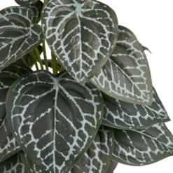 Tekokasvi House Nordic Alocasia, 33cm, vihreä