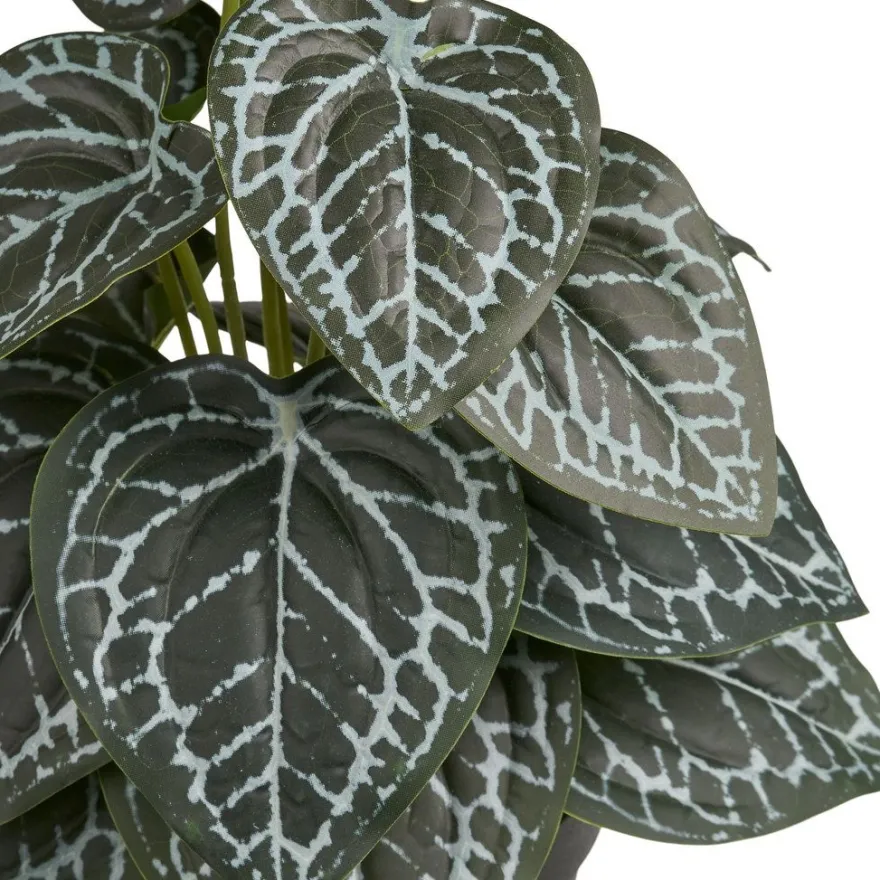 Tekokasvi House Nordic Alocasia, 33cm, vihreä