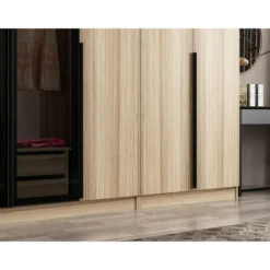 Vaatekaappi Linento Furniture Kale Plus 210x315cm 2 läpikuultavaa ovea eri värejä