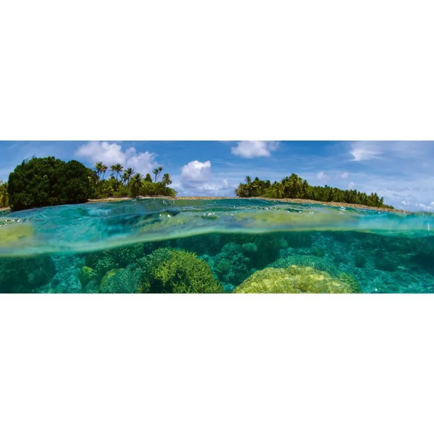 Välitilatarra Dimex Coral Reef, 180-350x60cm