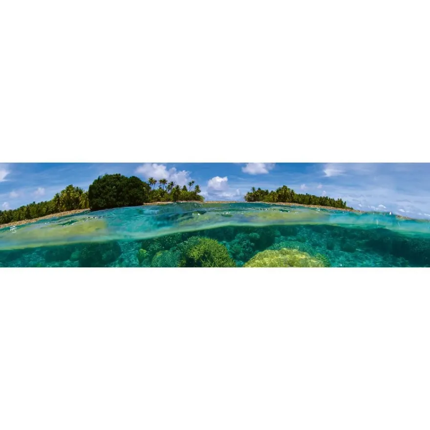 Välitilatarra Dimex Coral Reef, 180-350x60cm