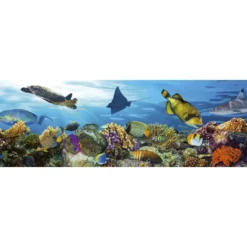 Välitilatarra Dimex Fish, 180-350x60cm