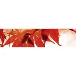 Välitilatarra Dimex Red Leaves, 180-350x60cm