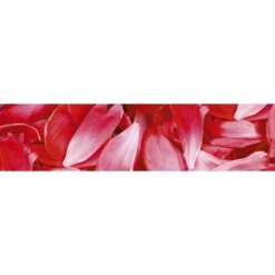 Välitilatarra Dimex Red Petals, 180-350x60cm