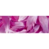 Välitilatarra Dimex Violet Petals, 180-350x60cm